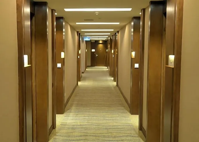 Hotel Lex
